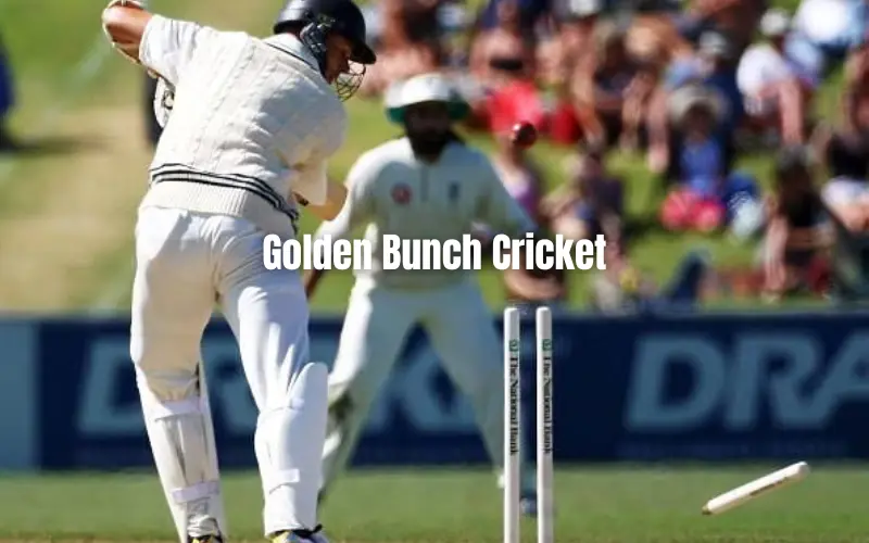 golden bunch cricket